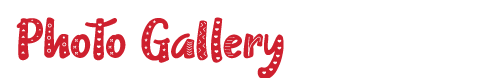 gallery22